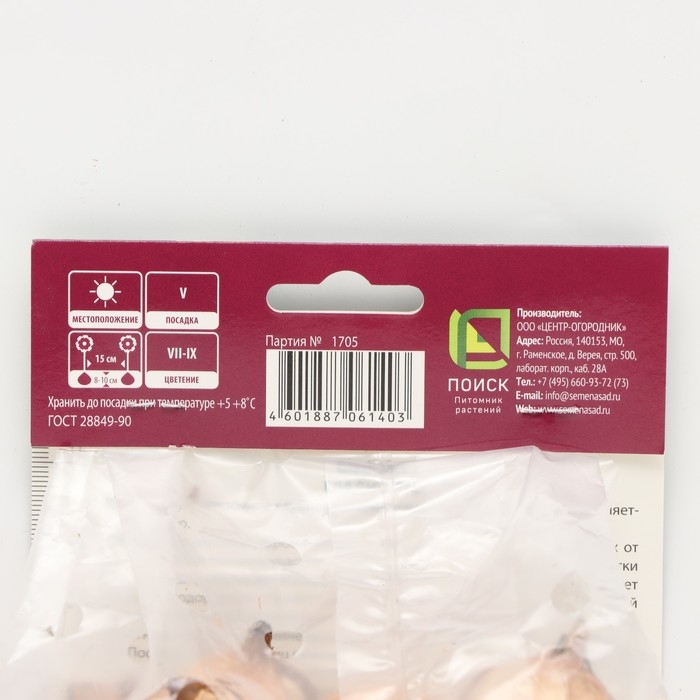 Гладиолус крупноцветковый «Пёпл Флора», луковица цветов в пакете с перфорацией, р-р 10/12, 10 шт.