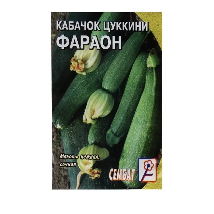 Семена Кабачок цуккини  Семена Кабачок цуккини "Фарао", 2 г