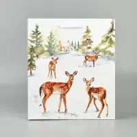 Набор пакетов «Новый год», 3 шт, 26 × 30 × 9 см Набор пакетов «Новый год», 3 шт, 26 × 30 × 9 см