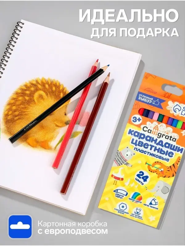 Карандаши Calligrata, цветные, 24 цвета, эконом, шестигранные, пластиковые