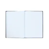Книга учета, 96 листов, обложка картон 7БЦ, блок газетный, клетка, РФ, сине-красный