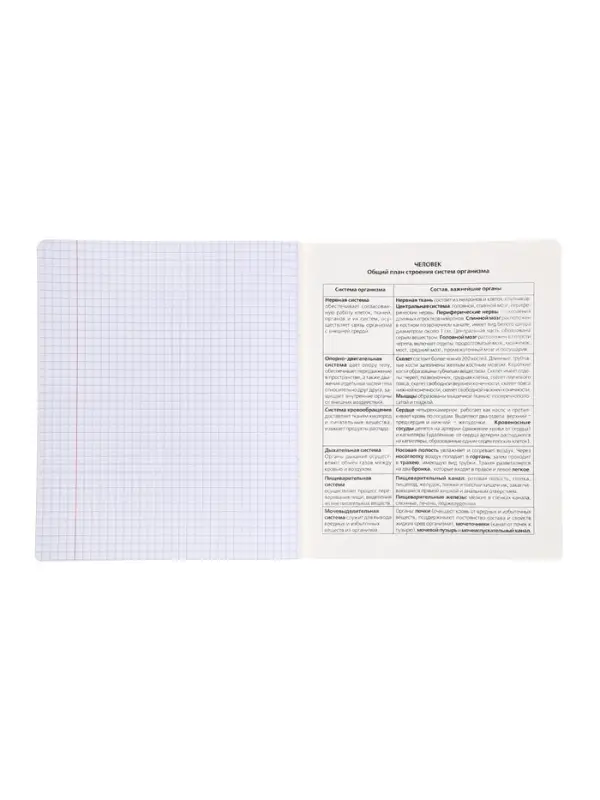 Комплект 12 предметных тетрадей 48 листов, справочная информация, 60гр, пластиковая обложка   109633