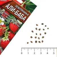 Семена Земляника &laquo;Али Баба&raquo;, ремонтантная, 0.04 г, &laquo;Аэлита&raquo;