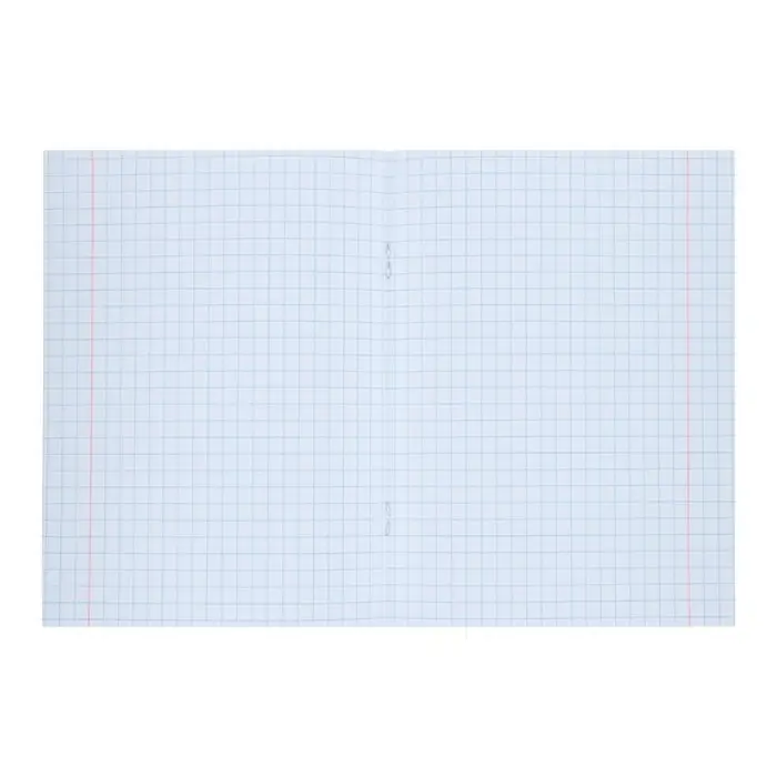 Тетрадь 12 листов в крупную клетку Calligrata "Школьная. Зелёная", обложка мелованный картон, ВД-лак, блок офсет, белизна 95%