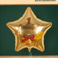 Воздушный шар фольгированный 19" &laquo;1 сентября&raquo;, набор 5 шт.