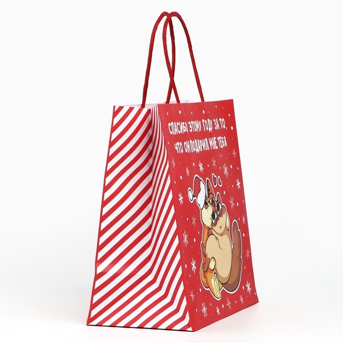 Пакет подарочный новогодний «Спасибо этому году», 22 х 22 х 11 см Пакет подарочный новогодний «Спасибо этому году», 22 х 22 х 11 см