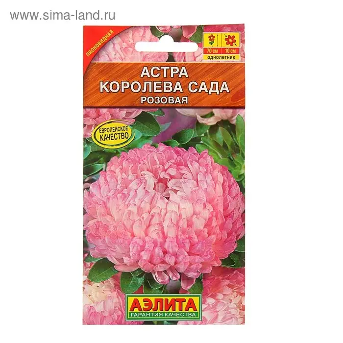 Семена цветов Астра "Королева сада" розовая, О, 0,2 г