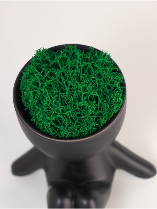 Кашпо керамика  Кашпо керамика "Мистер Грин на чиле" 10*9,5*12 см черный