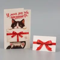 Открытка средняя с конвертом для денег &laquo;Послание для тебя&raquo;, 12&times;18 см, котёнок