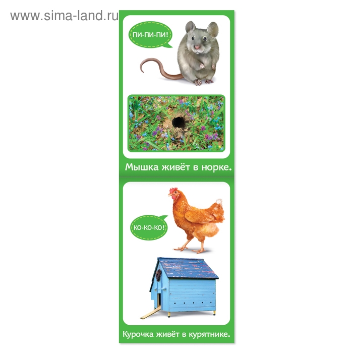 Книги развивающие набор &laquo; Растём вместе&raquo;, 8 шт. по 20 стр.