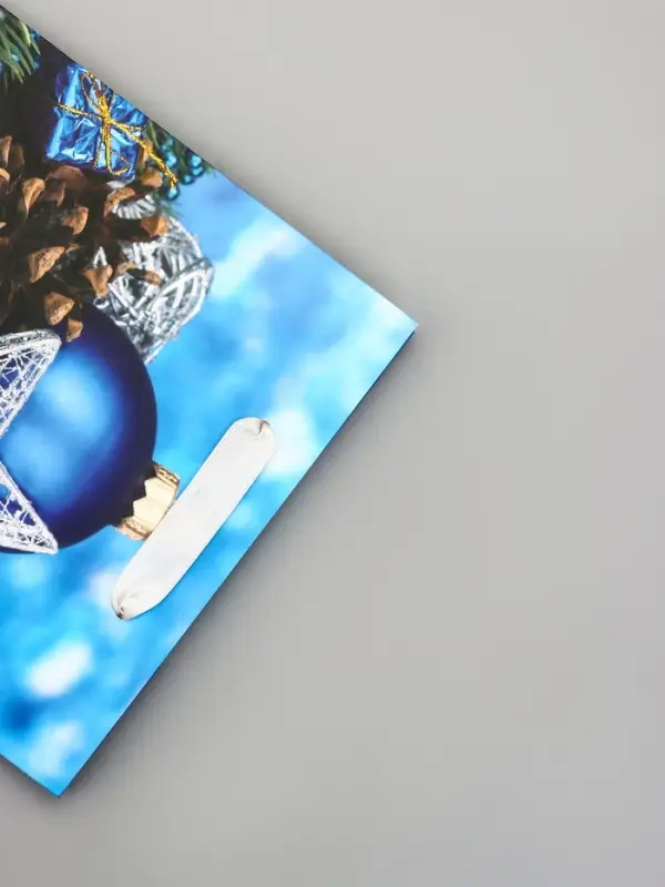 Пакет подарочный ламинированный Пакет подарочный ламинированный "Рождество", 18 х 23 х 10 см