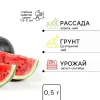 Семена Арбуз &laquo;Сахарная избушка&raquo;, 0.5 г, &laquo;Золотая Сотка Алтая&raquo;