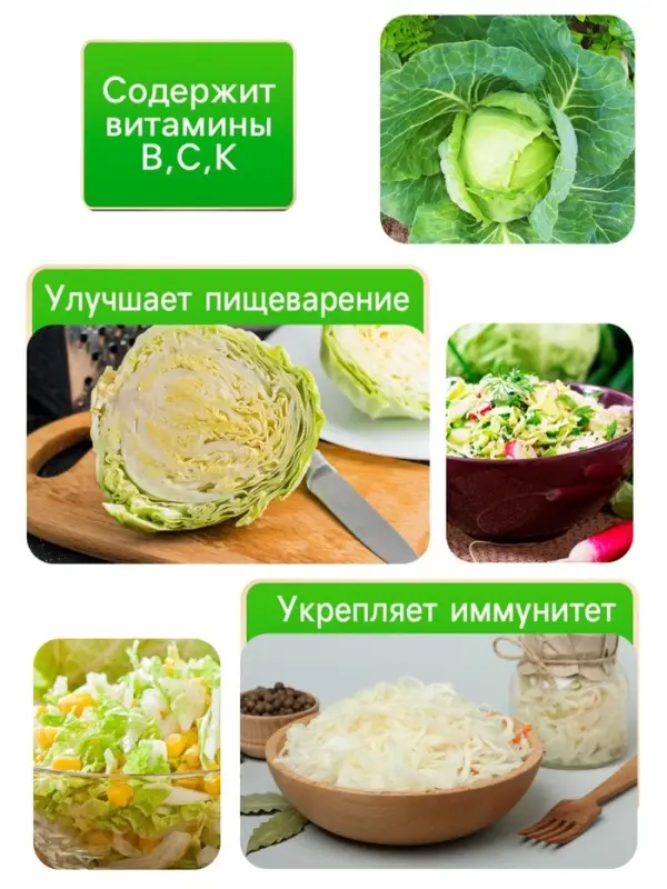 Семена Капуста белокочанная &laquo;Июньская&raquo;, 0.5 г, скороспелая, &laquo;Рецепты дедушки Никиты&raquo;