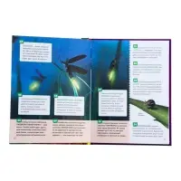 Энциклопедия российского школьника &laquo;Насекомые&raquo;