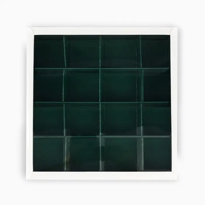 Коробка под 16 конфет с ячейками &laquo;Новогодняя ботаника&raquo;, 19&times;19&times;3 см