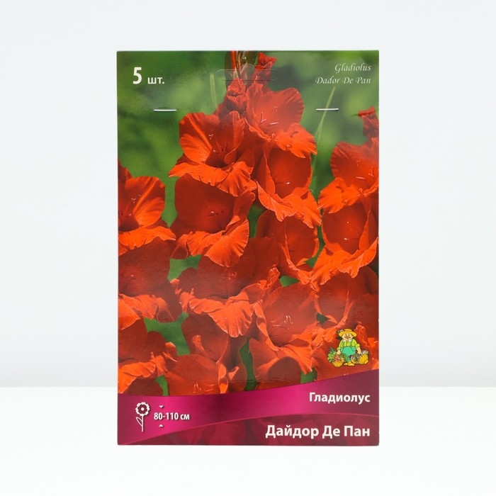 Гладиолус крупноцветковый «Дайдор Де Пан», луковица цветов в пакете с перфорацией, р-р 12/14, 5 шт.