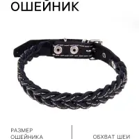 Ошейник плетёный, 42&times;2 см, ОШ 35-45 см, кожа, цвет МИКС