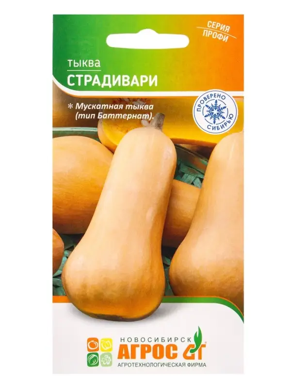 Семена Тыква Семена Тыква "Страдивари" 5 шт