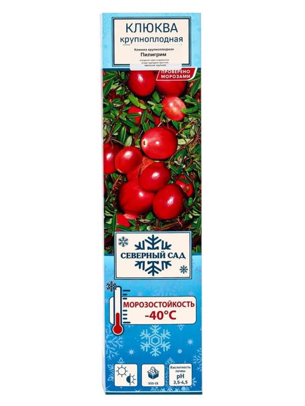Клюква крупноплодная (Серия Северный Сад) Клюква крупноплодная (Серия Северный Сад) "Пилигрим" 1 шт, туба, Весна 2025