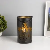 Фигурка светящаяся RISALUX &laquo;Ночной лес&raquo;, LED-ночник, 3&times;ААА, чёрный, 12&times;12&times;20.5 см