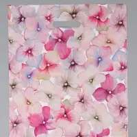 Пакет "Комплимент", полиэтиленовый с вырубной ручкой, 38 х 45 + 3 см, 50 мкм