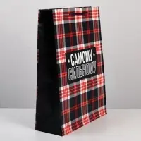 Пакет подарочный ламинированный, упаковка, Real strong, L 28&times;38&times;9 см