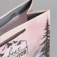 Пакет подарочный "Северный характер" ламинированный 26 х 12 х 32 см