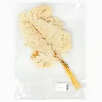 Сухоцвет Папоротник МИКС, 10 шт в упаковке