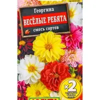 Семена цветов Георгина «Весёлые ребята», смесь сортов,0.6 г Семена цветов Георгина «Весёлые ребята», смесь сортов,0.6 г