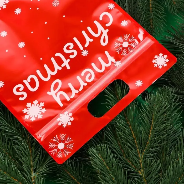 Пакет подарочный,  Пакет подарочный, "С новым годом!", с zip-lock застежкой, 20х30+4,5 см.