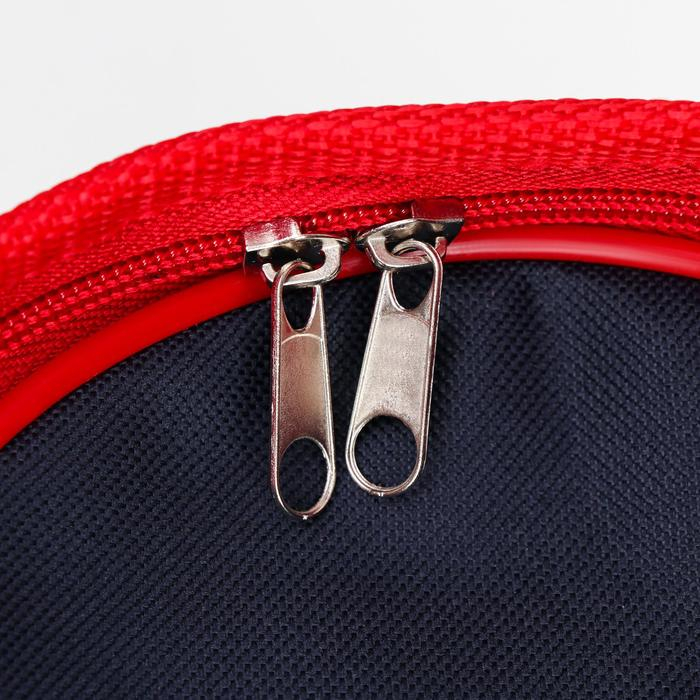 Сумка-переноска для животных, каркасная, 40 х 25 х 27 см, синий-красный Сумка-переноска для животных, каркасная, 40 х 25 х 27 см, синий-красный