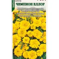 Семена Бархатцы Чемпион йеллоу /Сотка/ 0,2г/ h-15-20см d-4-6см /*1200 Семена Бархатцы Чемпион йеллоу /Сотка/ 0,2г/ h-15-20см d-4-6см /*1200