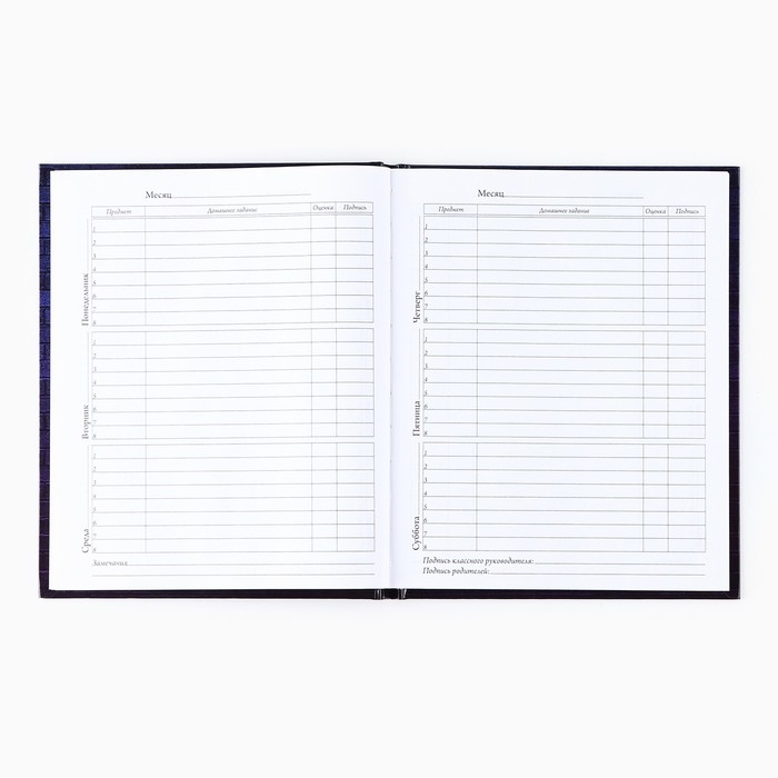 Дневник школьный для 1-11 класса, в твердой обложке, 40 л. «Неон» Дневник школьный для 1-11 класса, в твердой обложке, 40 л. «Неон»