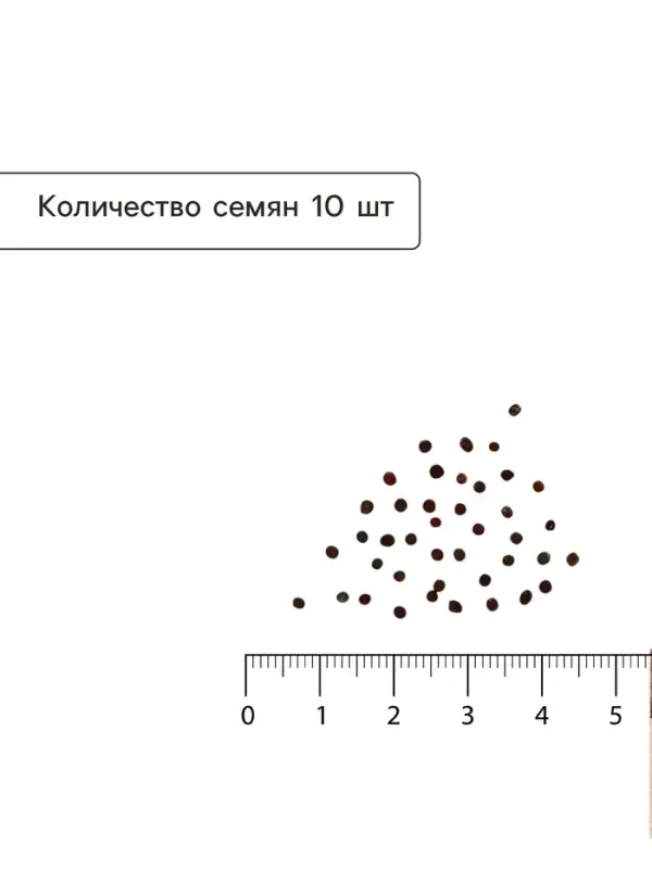 Семена Капуста белокочанная &laquo;Мегатон&raquo;, F1, 10 шт., &laquo;Уральский дачник&raquo;
