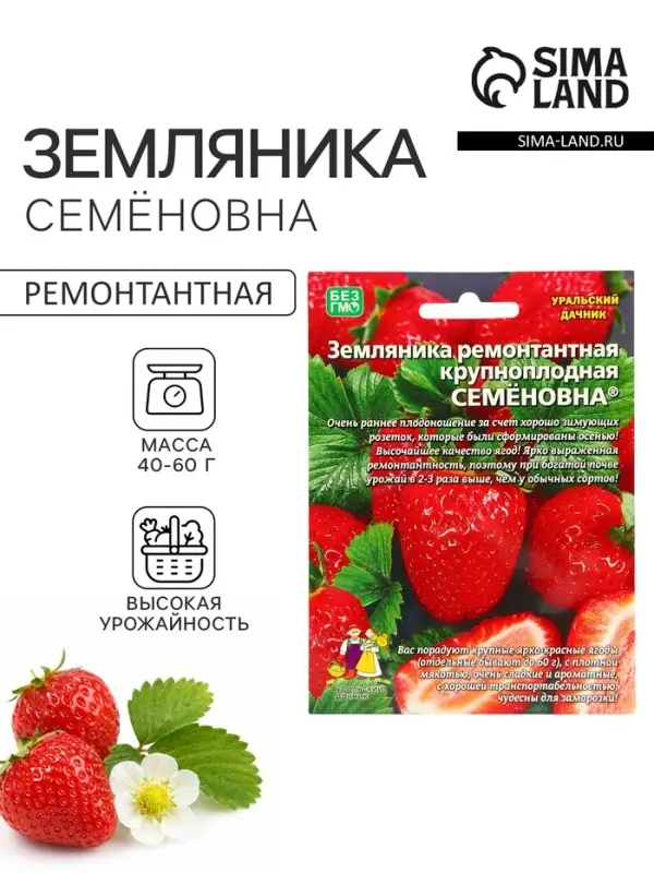 Семена Земляника &laquo;Семёновна&raquo;, 10 шт., ремонтантная, крупноплодная, &laquo;Уральский дачник&raquo;
