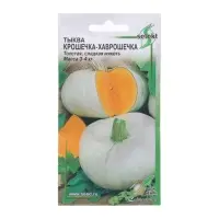 Семена Тыква "Крошечка-хаврошечка" select, 7 шт Семена Тыква "Крошечка-хаврошечка" select, 7 шт
