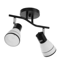 Спот потолочный &laquo;Айрис&raquo;, 2хЕ14, 40 Вт, черный, 38&times;18&times;22 см