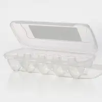 Контейнер для хранения яиц, 10 ячеек, 26,5×12,5×7 см