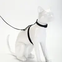 Комплект для кошек, ширина 1 см, ОШ 16.5-27 см, ОГ 21-35 см, поводок 120 см, чёрный