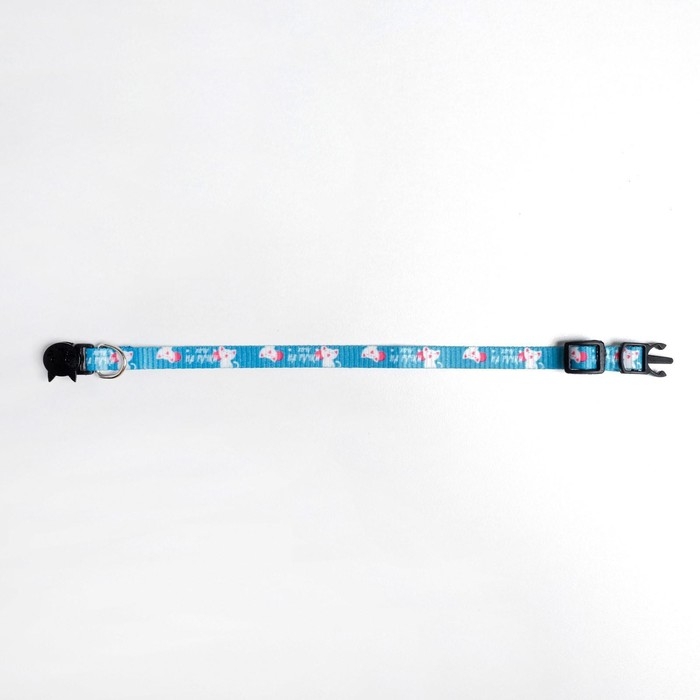 Ошейник для кошек с фастексом «Хочу на ручки», 30 х 1 см Ошейник для кошек с фастексом «Хочу на ручки», 30 х 1 см