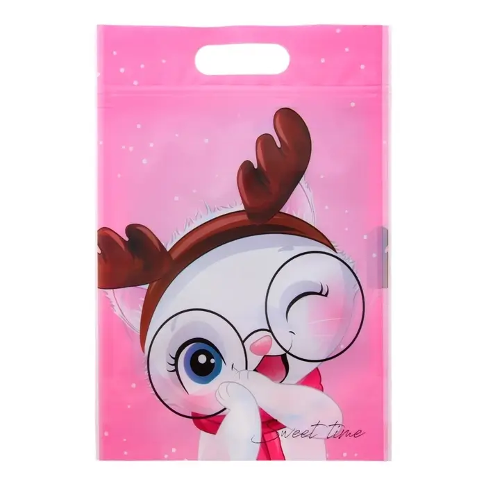 Пакет подарочный, с zip-lock застежкой,  Пакет подарочный, с zip-lock застежкой, "Зимние котята", 15х22см.