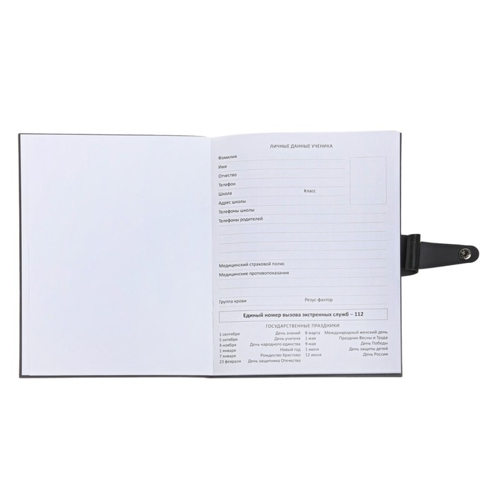 Дневник универсальный для 1-11 классов Favorite, интегральная обложка из искусственной кожи на кнопке, тиснение фольгой, ляссе, 48 листов