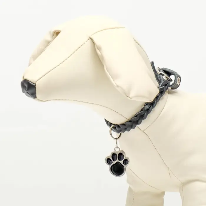 Адресник под гравировку &laquo;Лапа&raquo;, 2.5&times;2.5 см, фасовка по 6 шт., металл, цвет МИКС