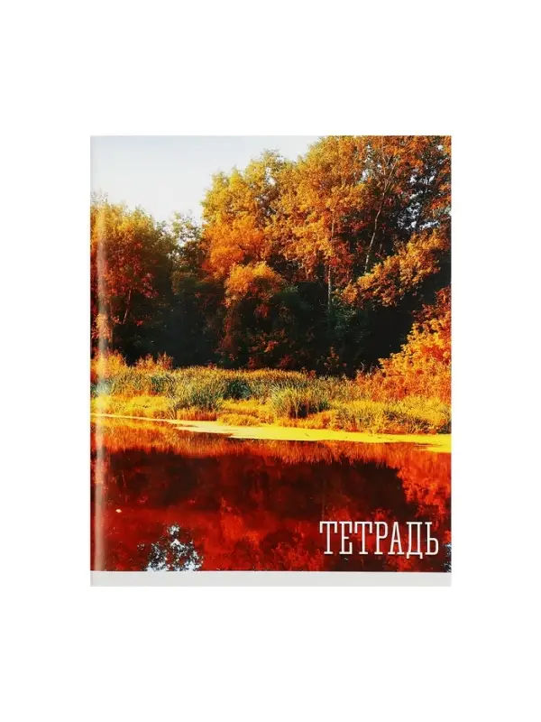 Тетрадь 48 листов в клетку, Calligrata «Времена года», обложка мелованная бумага, серые листы, МИКС