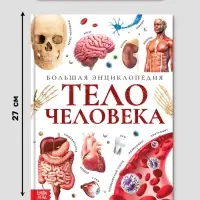 Энциклопедия в твёрдом переплёте &laquo;Строение тела человека&raquo;, 128 стр.