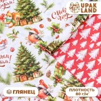 Бумага упаковочная новогодняя "Белый медвежонок", глянец, двусторонняя, 80 г/м2 , 50 х 70 см.