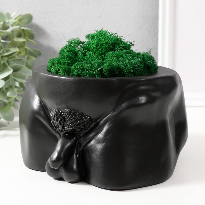 Кашпо бетонное Кашпо бетонное "Достоинство" со мхом высота 10 см,ширина 17 см черный (мох зеленый стабил)