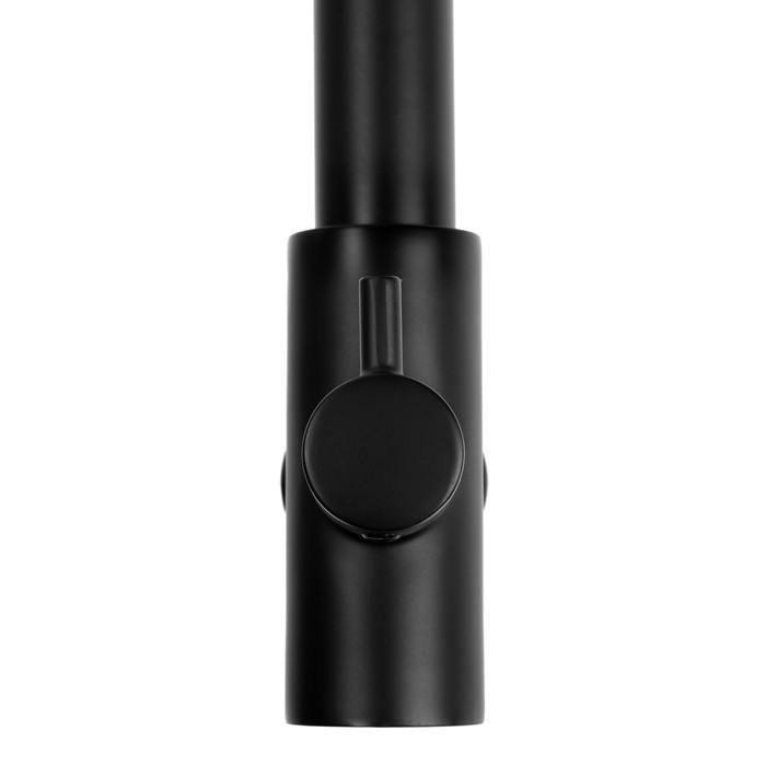 Смеситель для кухни ZEIN Z1303, однорычажный, с выходом для питьевой воды, латунь, черный Смеситель для кухни ZEIN Z1303, однорычажный, с выходом для питьевой воды, латунь, черный