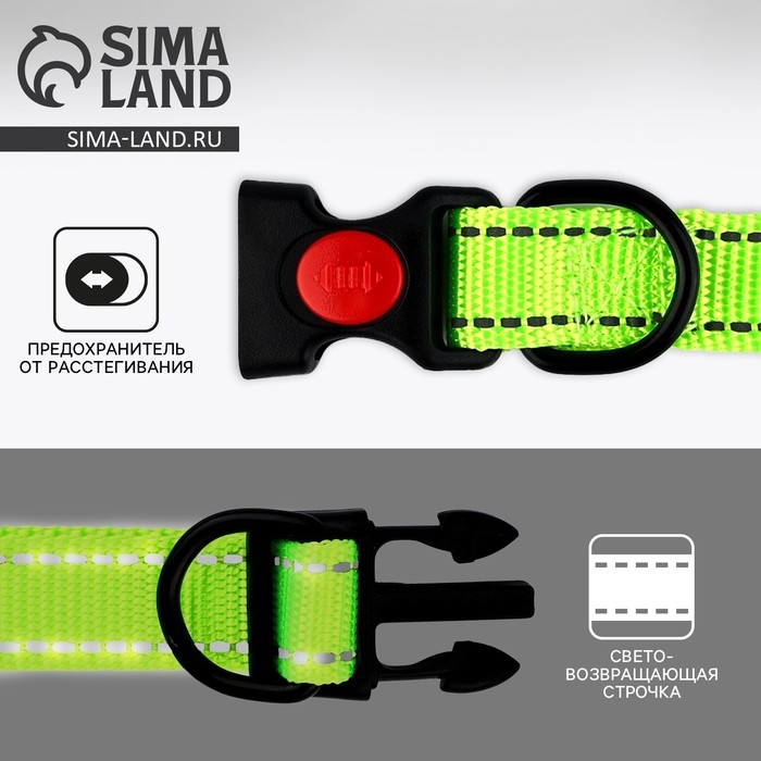 Ошейник из нейлона с фастексом 2,5 см, ОШ 31-48 см, зелёный Ошейник из нейлона с фастексом 2,5 см, ОШ 31-48 см, зелёный