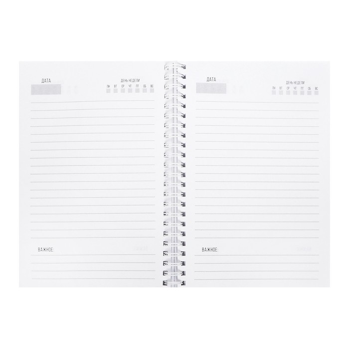 Еженедельник на гребне недатированный А5, 86 листов, картон 7БЦ Еженедельник на гребне недатированный А5, 86 листов, картон 7БЦ "Сегодня ТВОЙ день", матовая ламинация, фольга